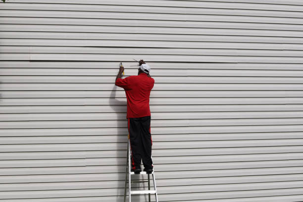 Best Steel Siding Installation  in Lutz, FL